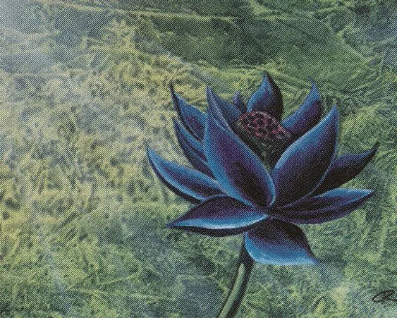 Black Lotus